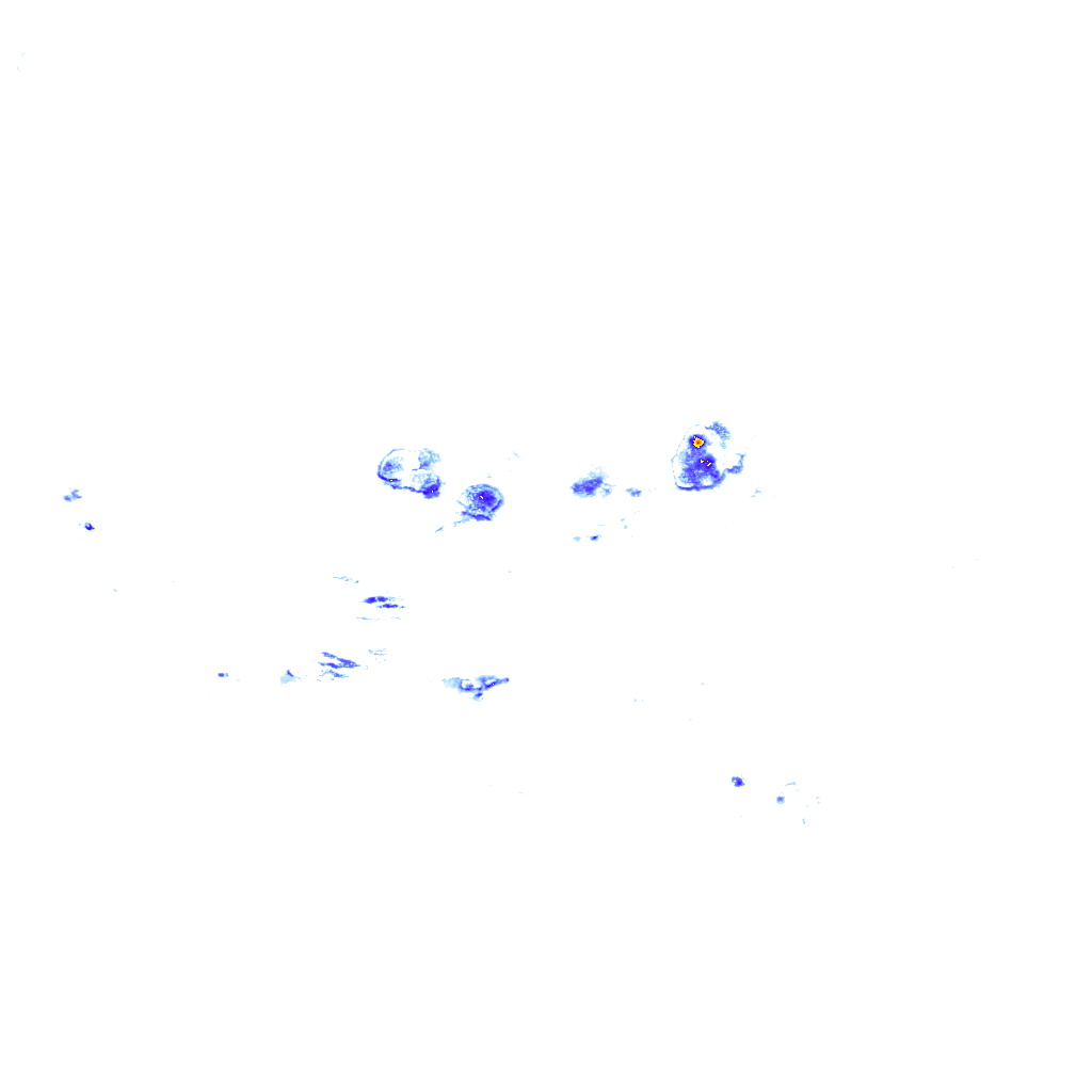 rainLayer
