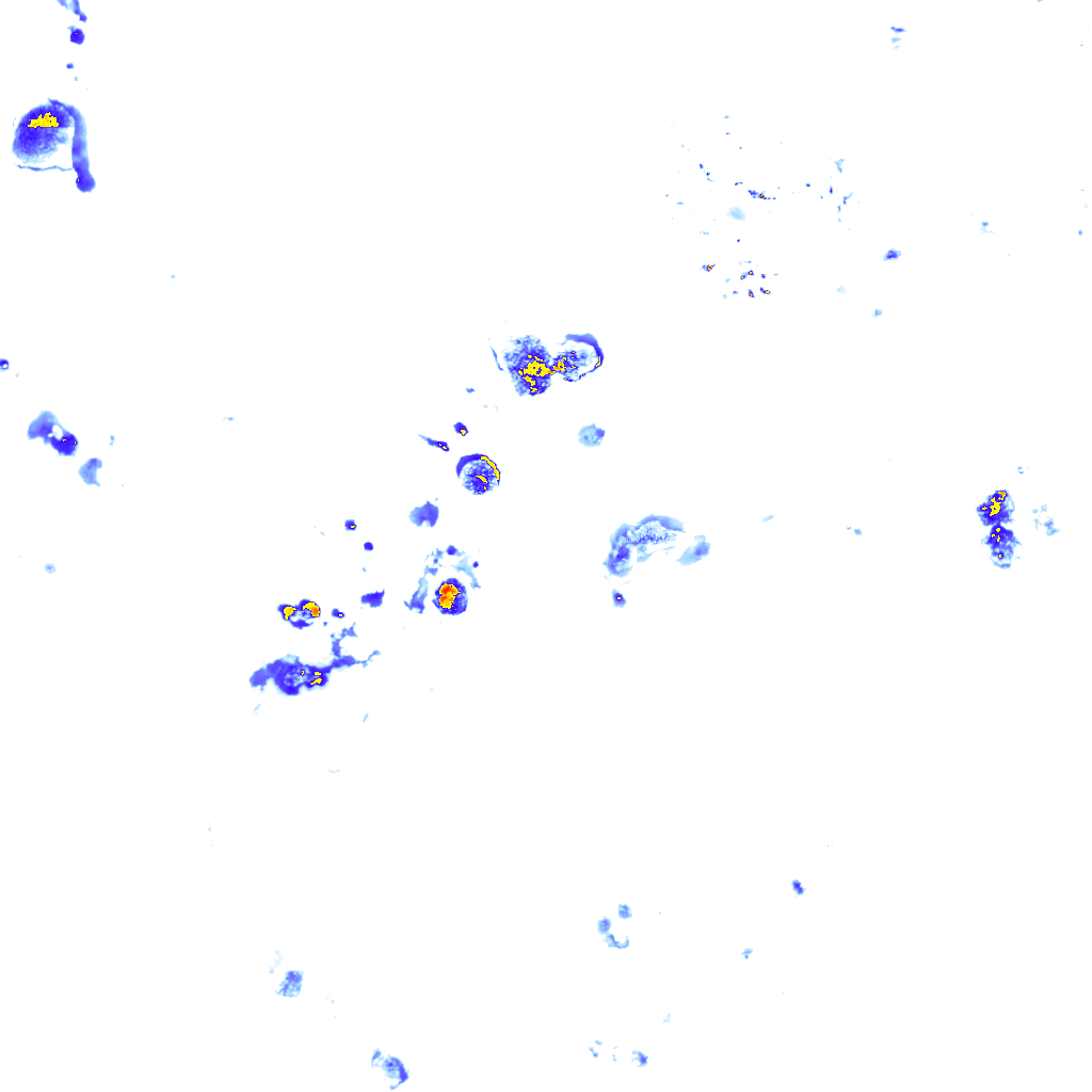 rainLayer