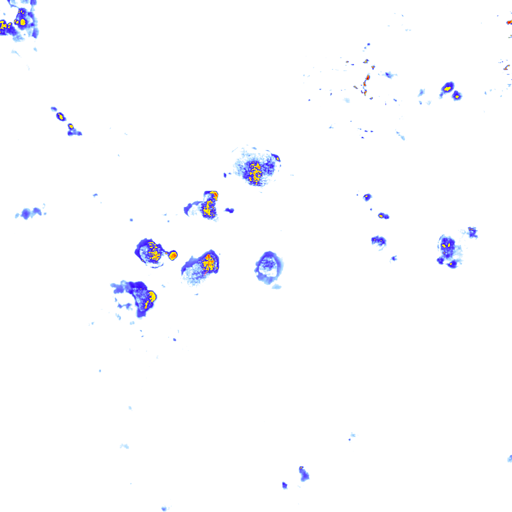 rainLayer