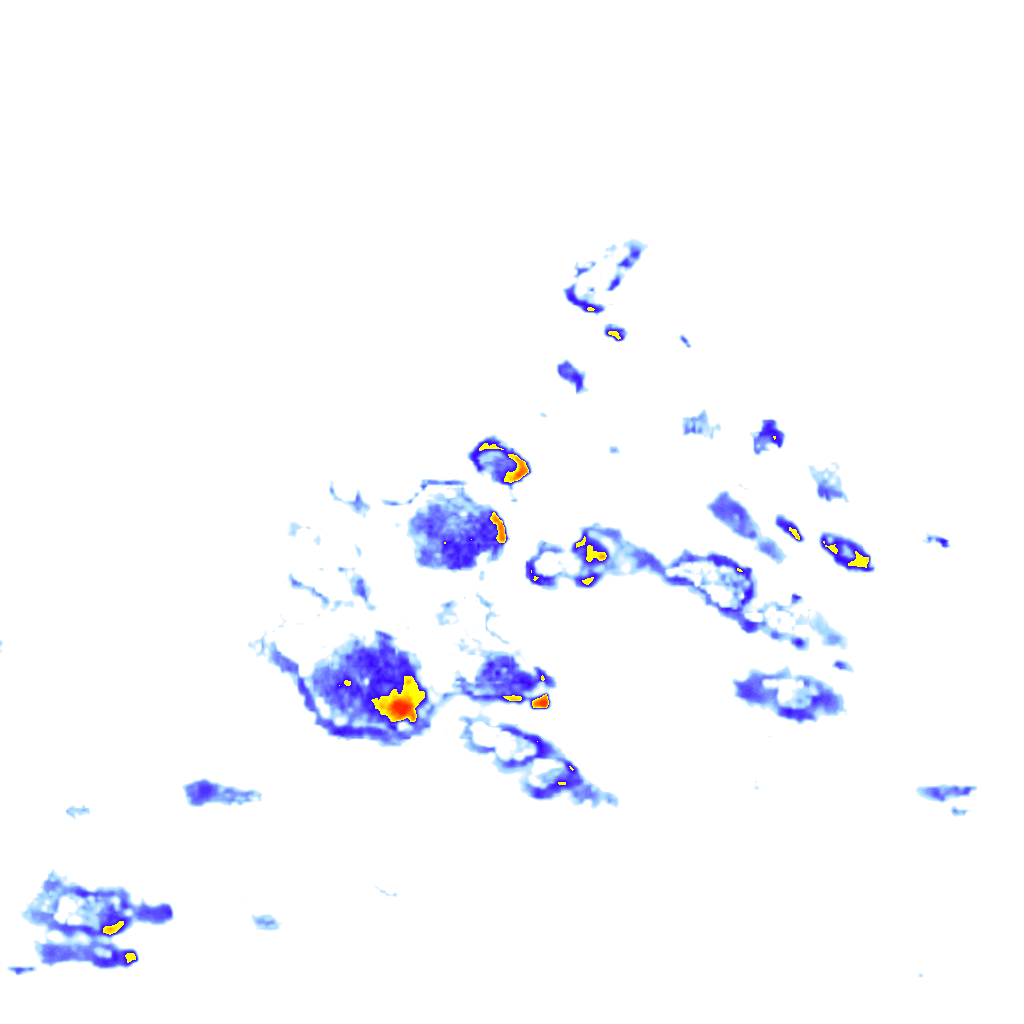 rainLayer