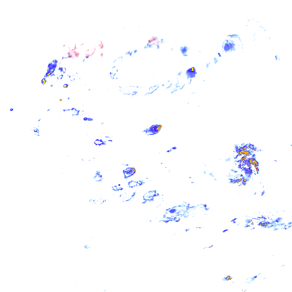 rainLayer