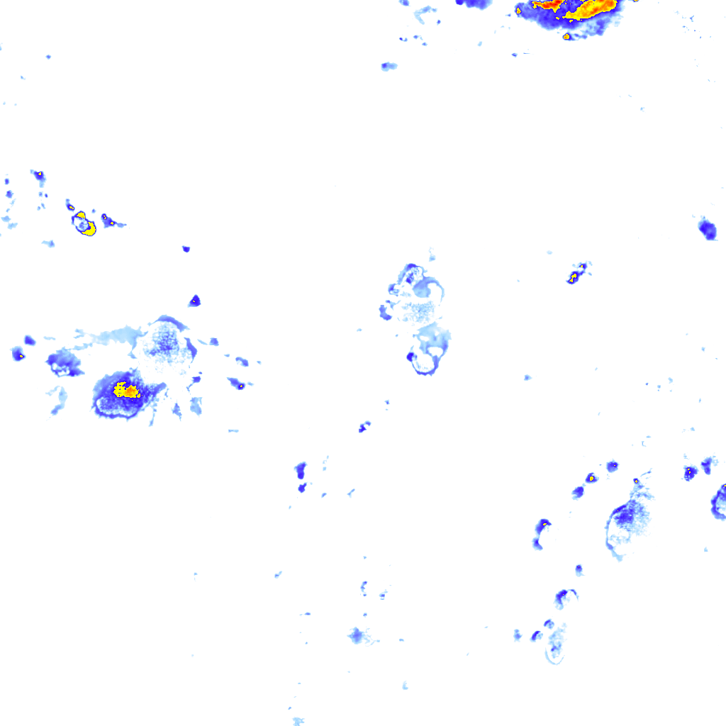 rainLayer