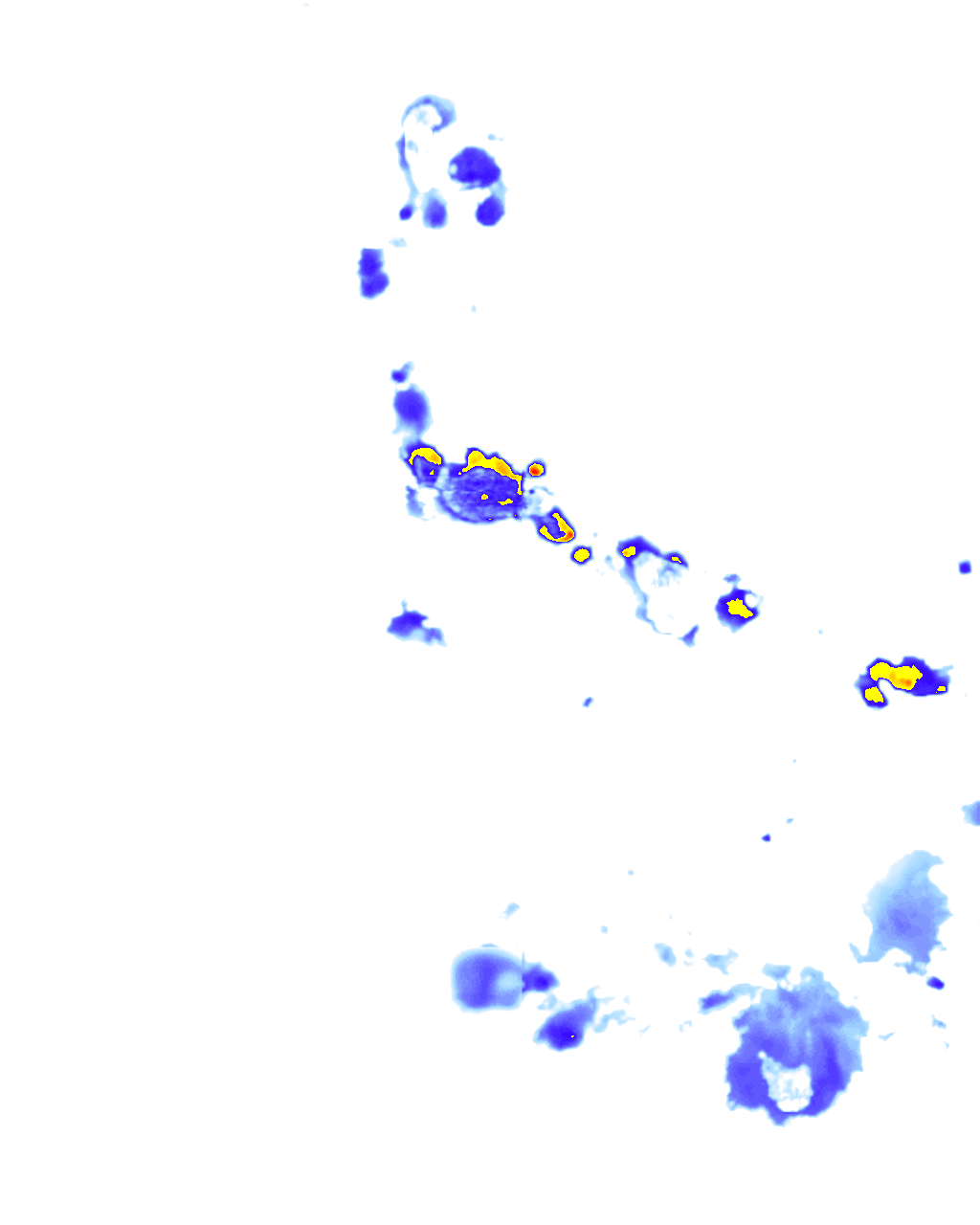 Image Layer