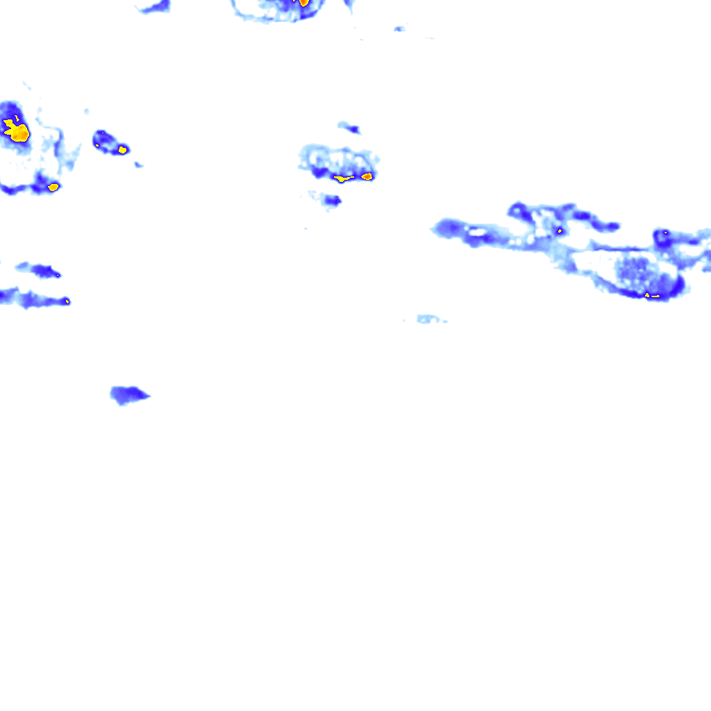 rainLayer