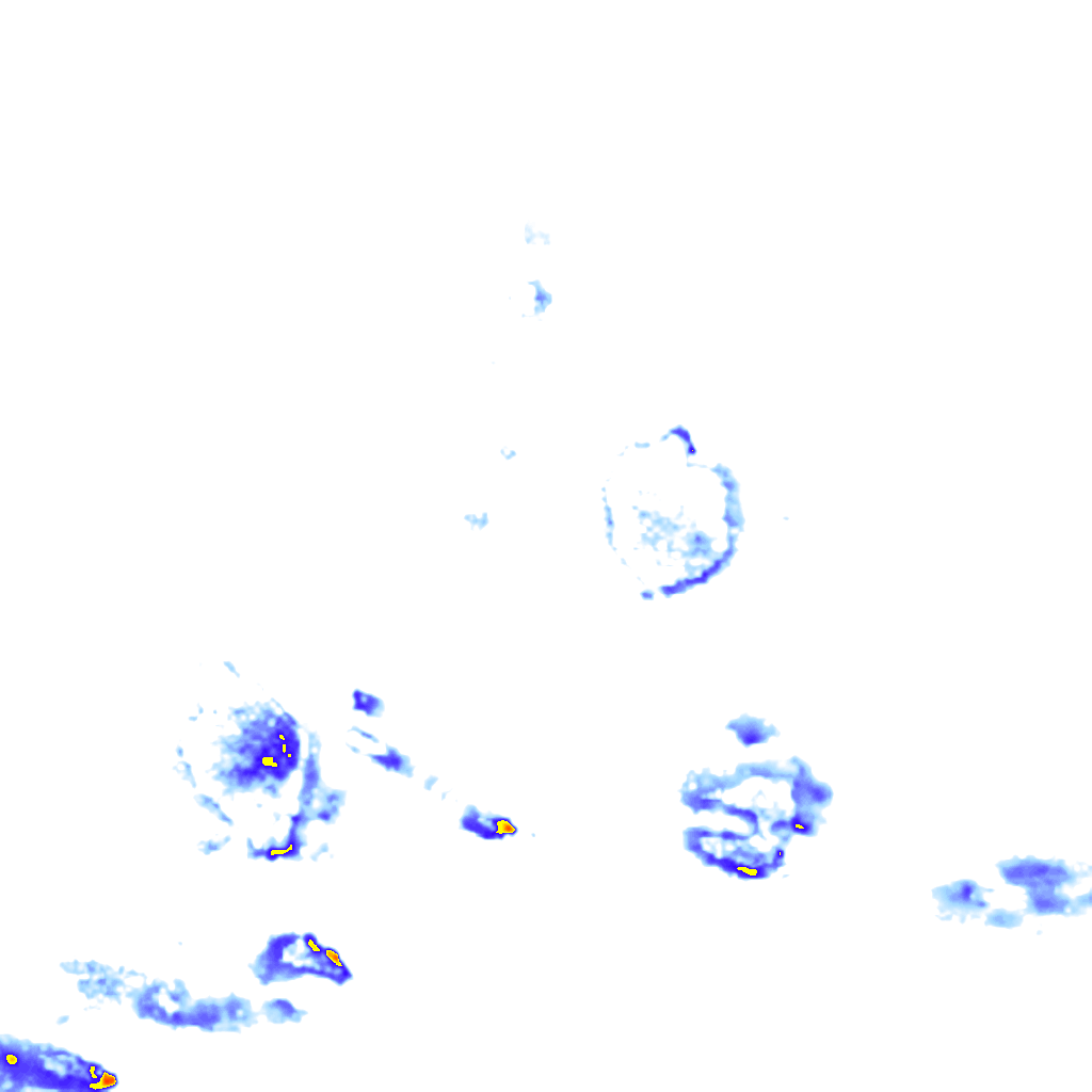 rainLayer