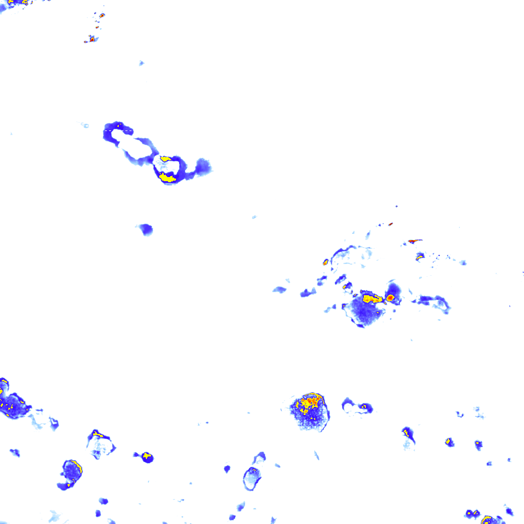 rainLayer