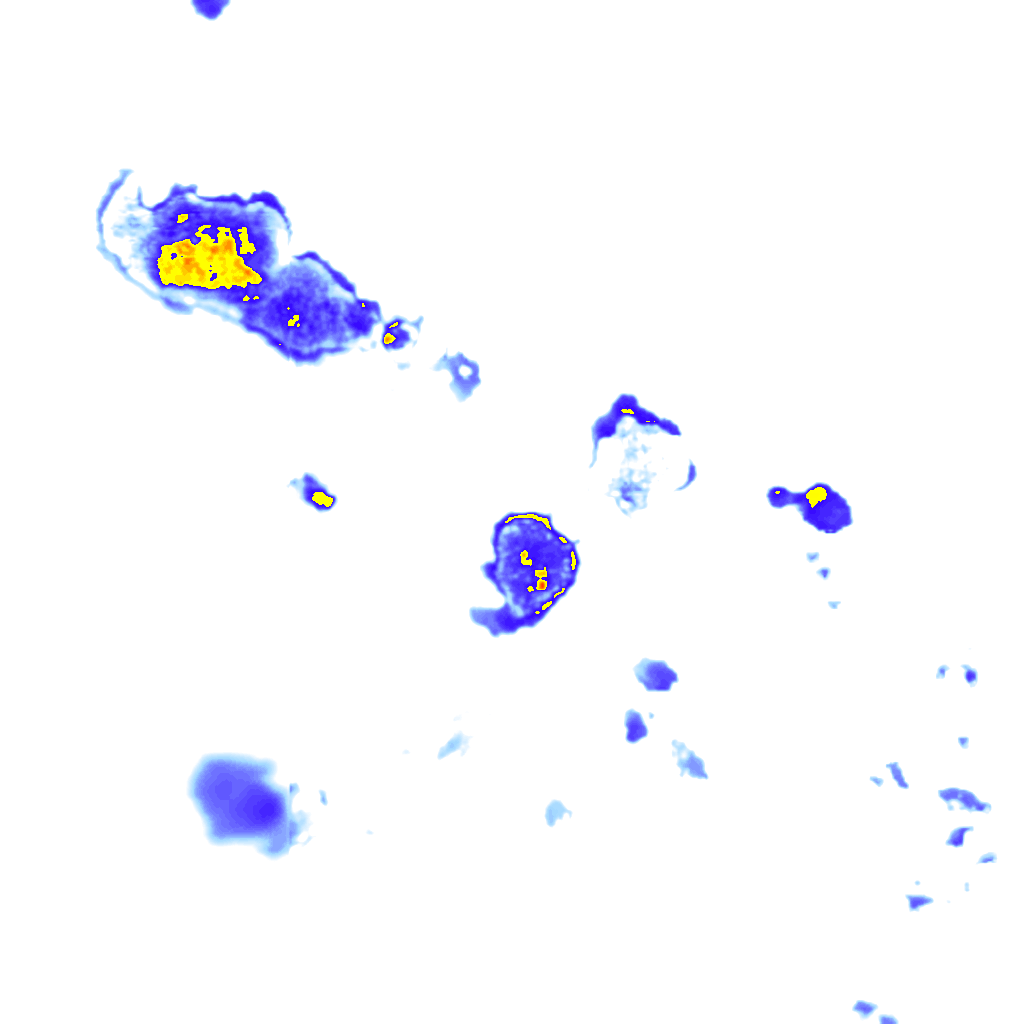 Image Layer