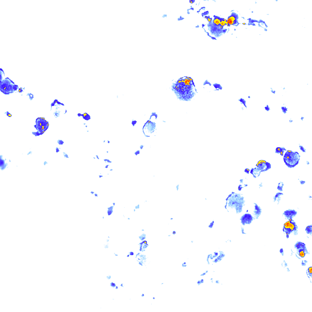 Image Layer