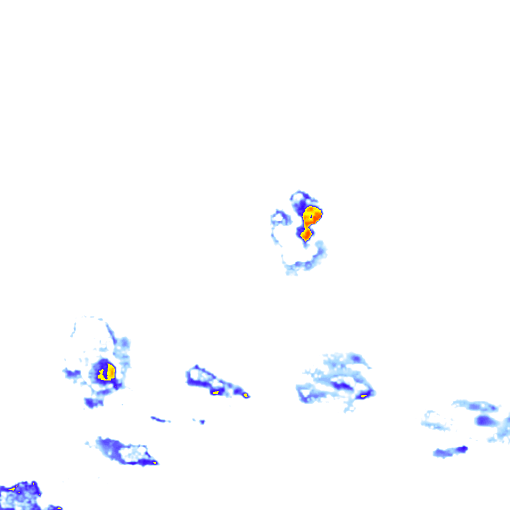 rainLayer