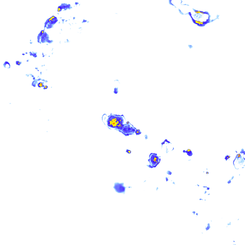 rainLayer