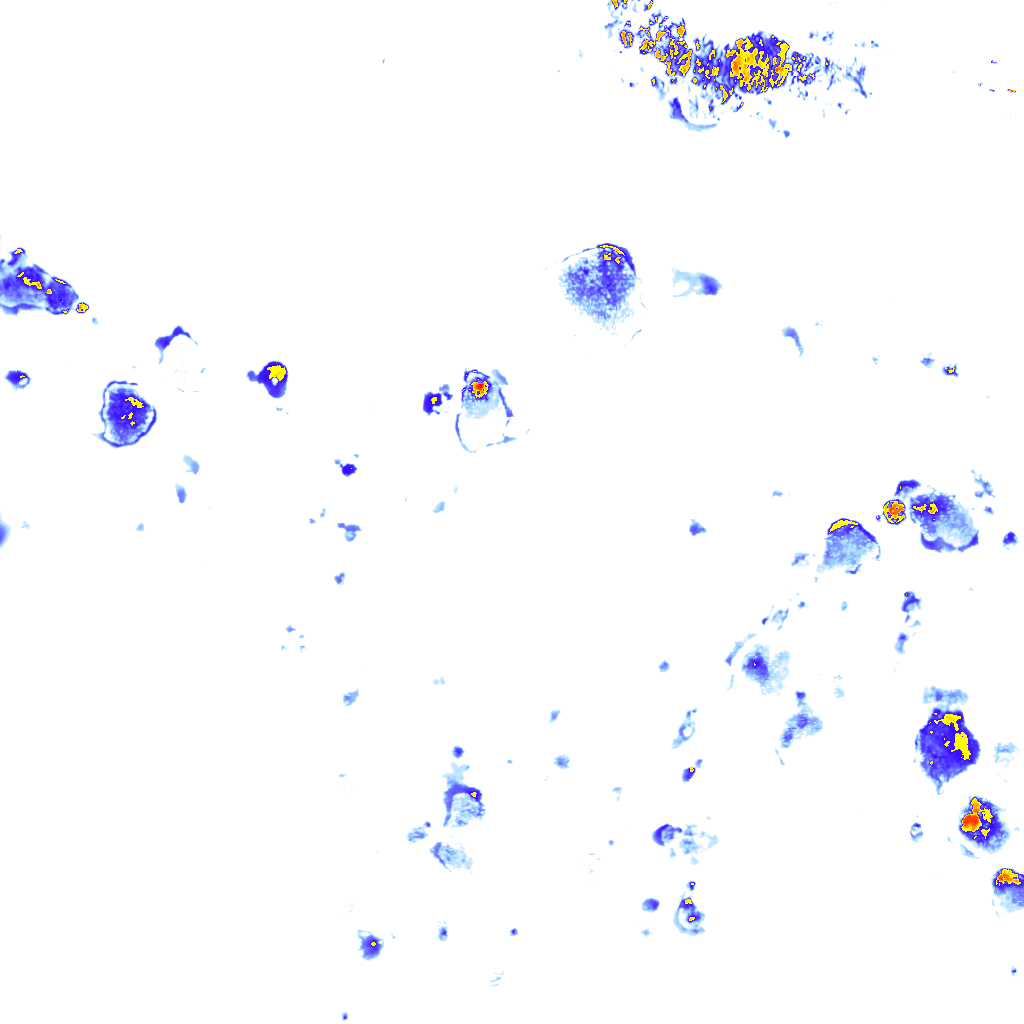 Image Layer