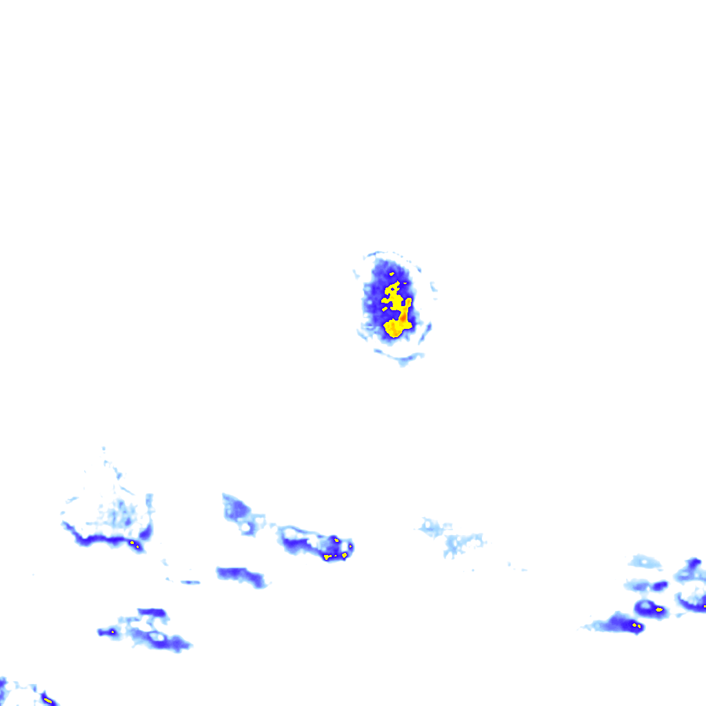 rainLayer