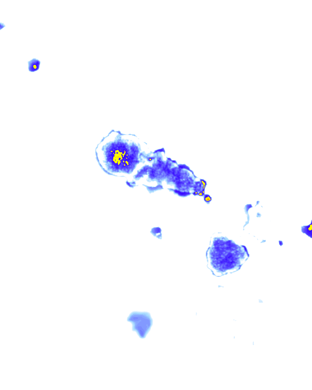 rainLayer