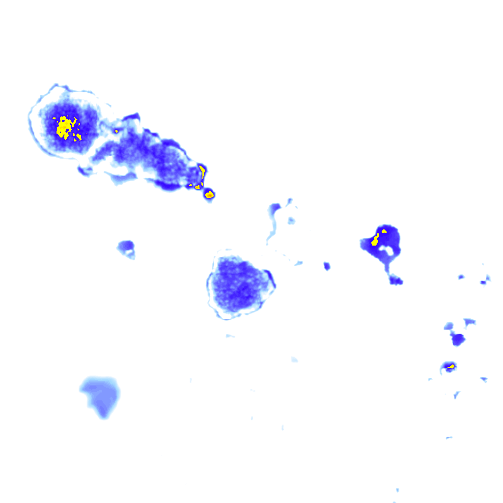 Image Layer