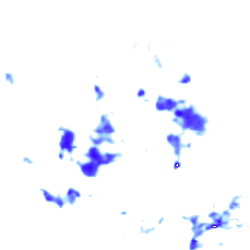 rainLayer