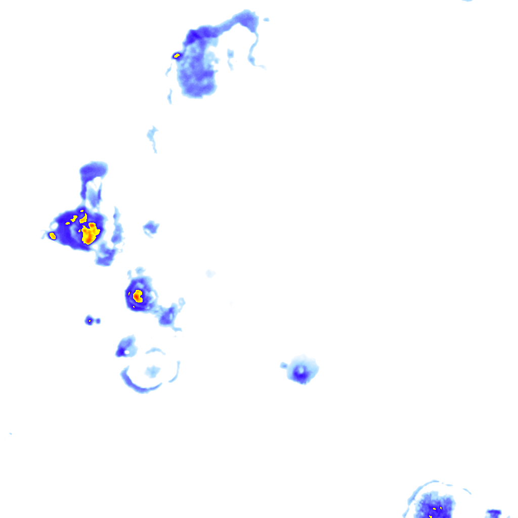 Image Layer