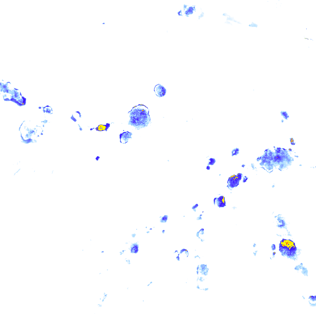 rainLayer