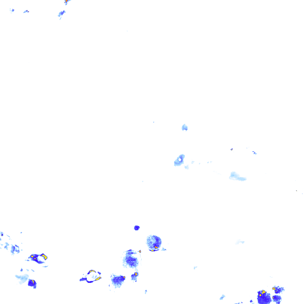 rainLayer