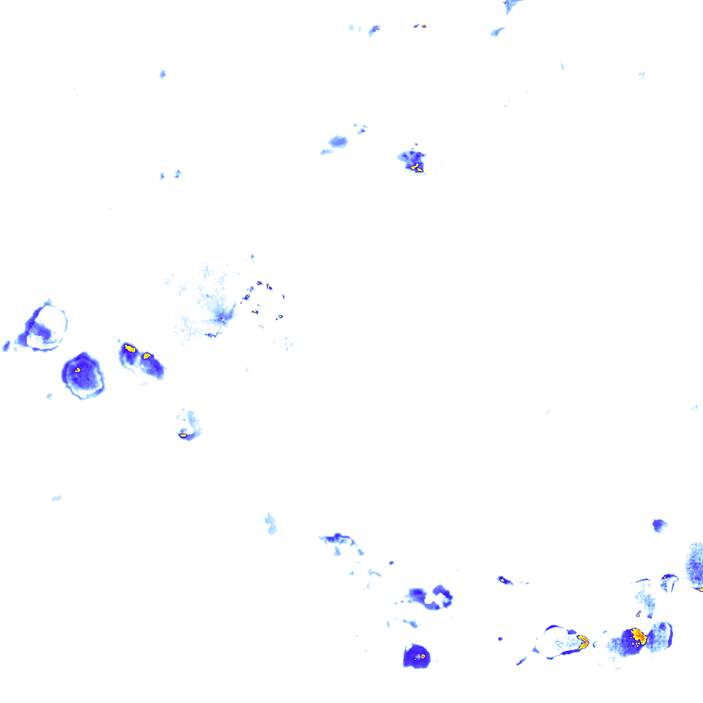 rainLayer