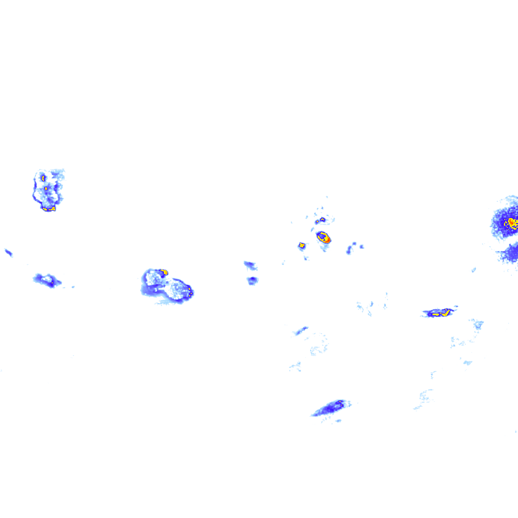 rainLayer