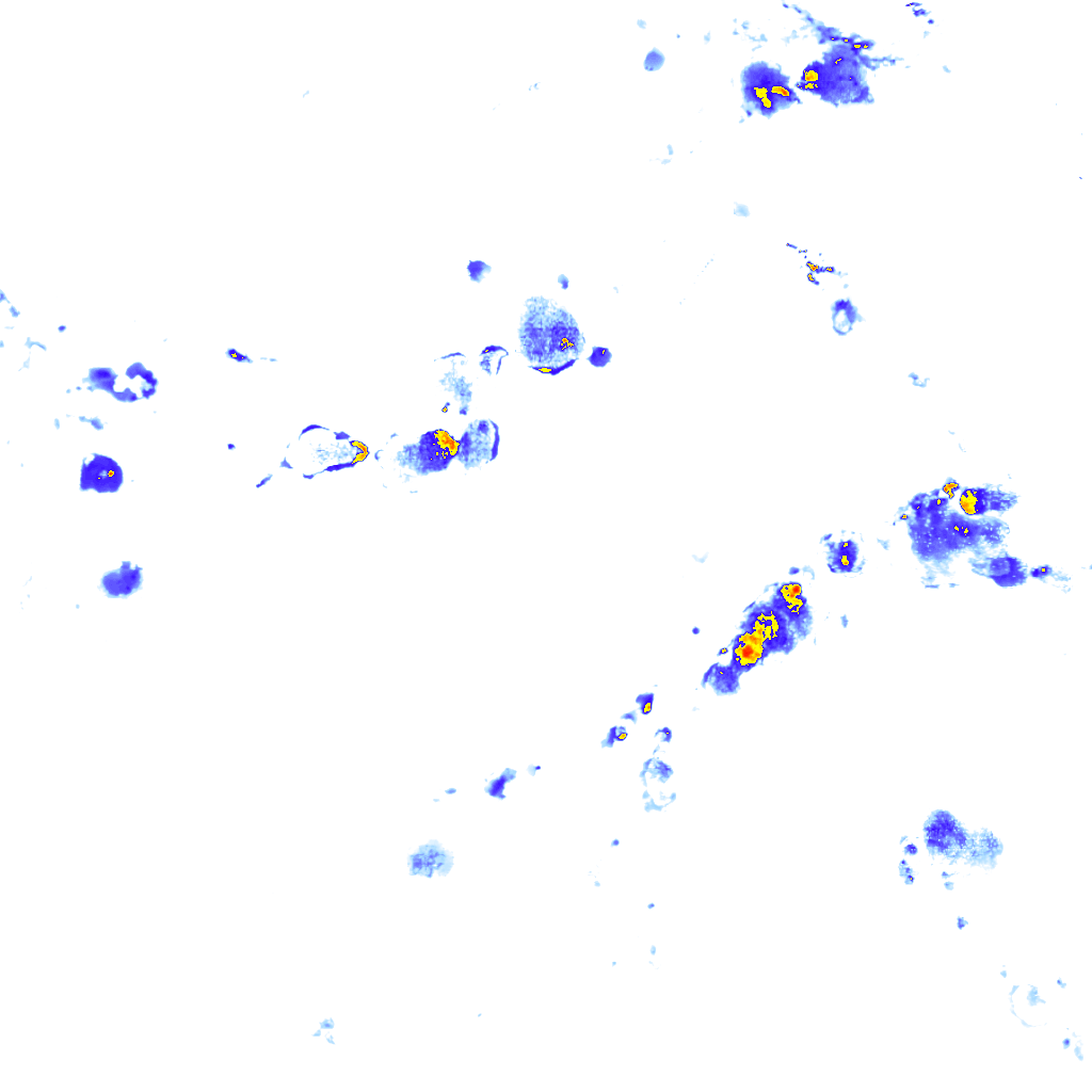 rainLayer