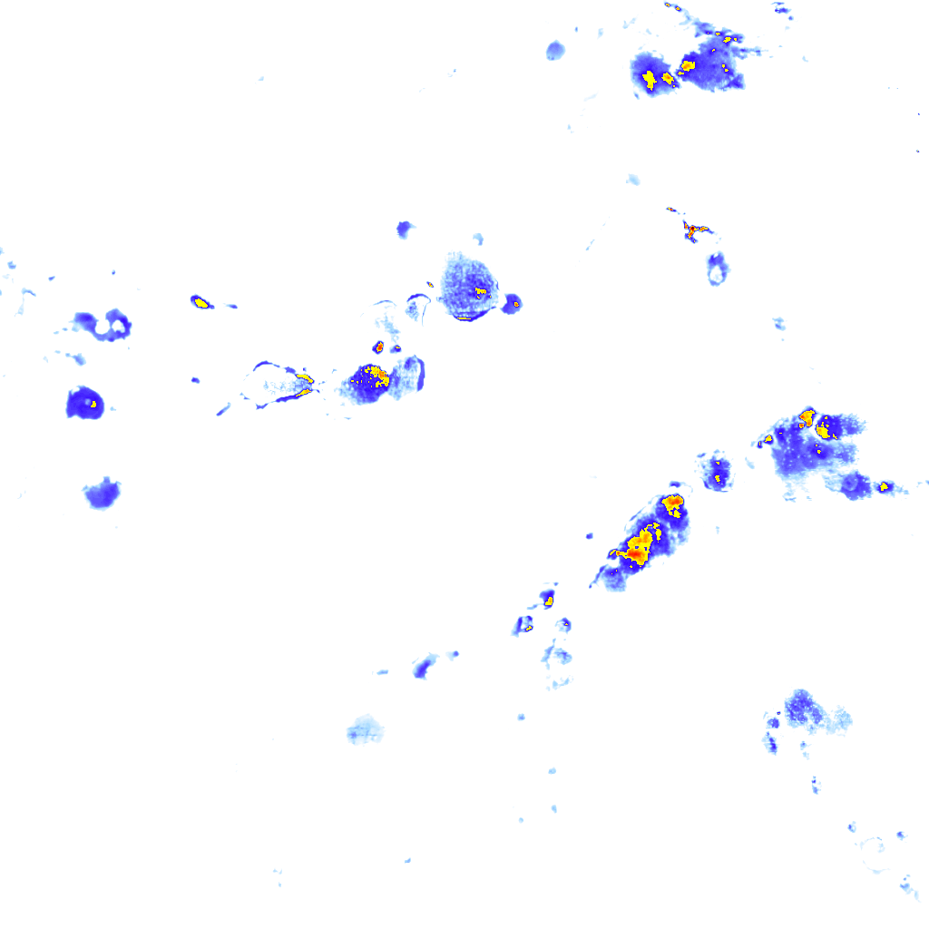 rainLayer