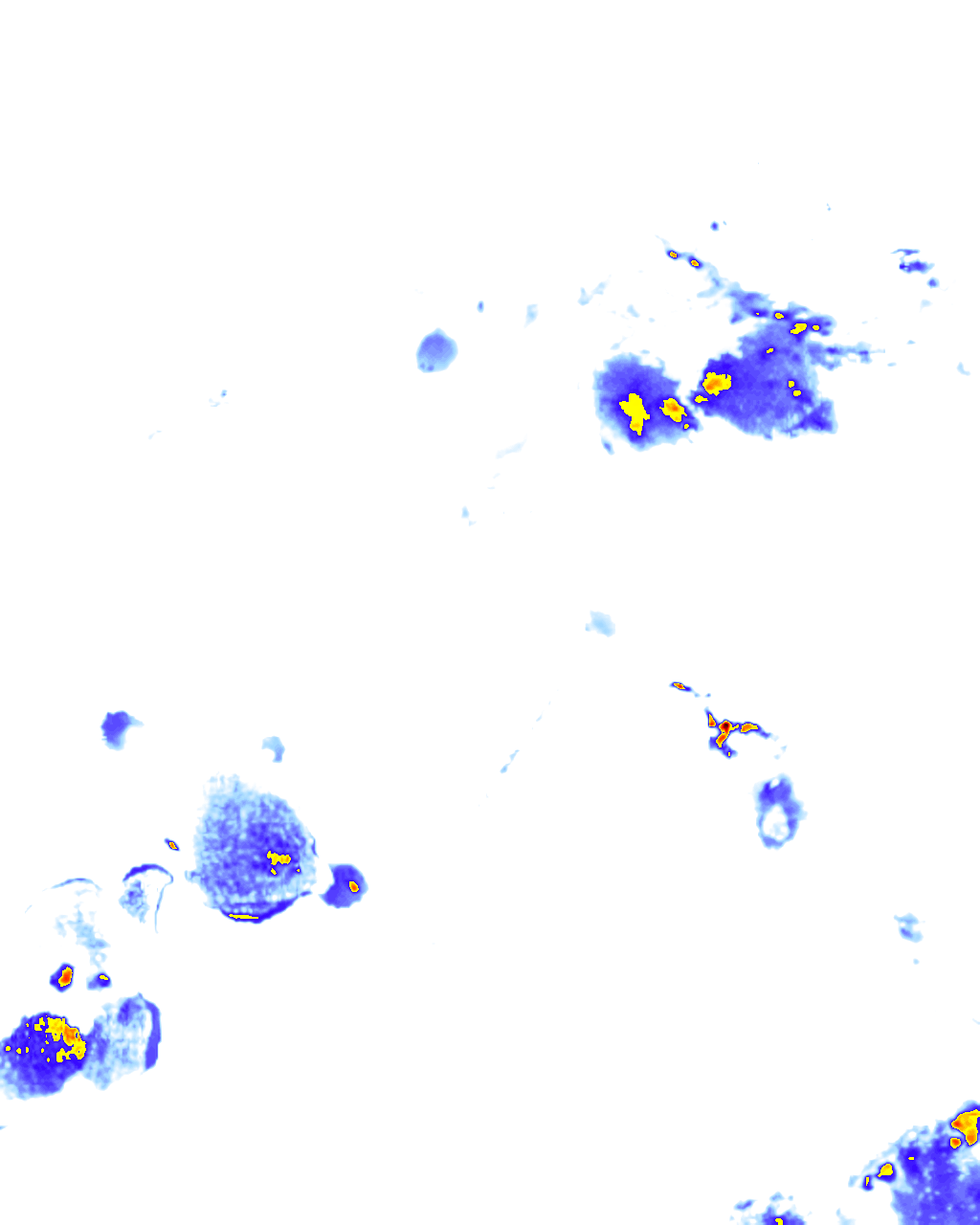 rainLayer