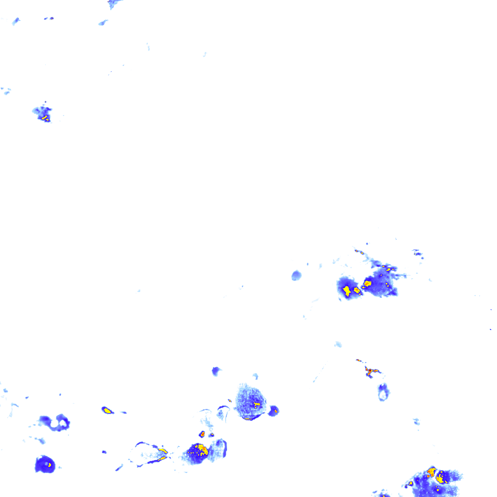 rainLayer