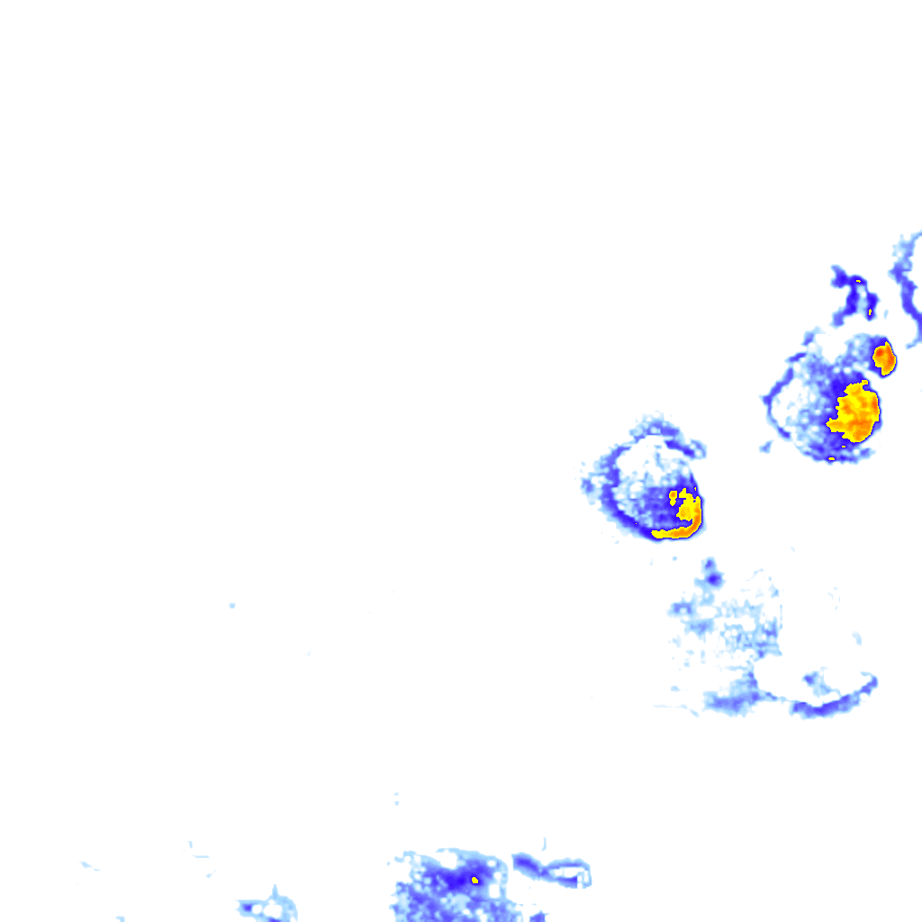 rainLayer