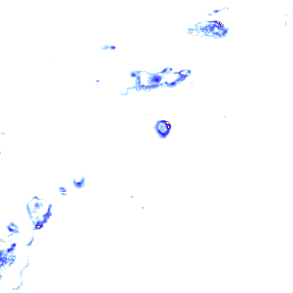 rainLayer