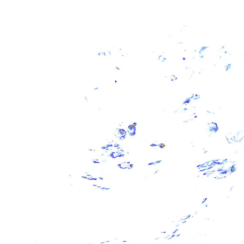 rainLayer