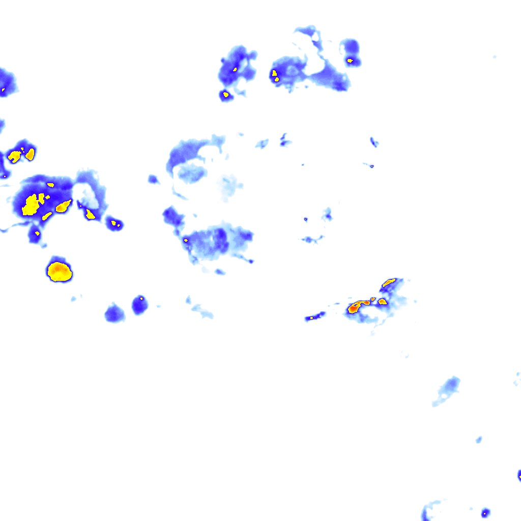 rainLayer
