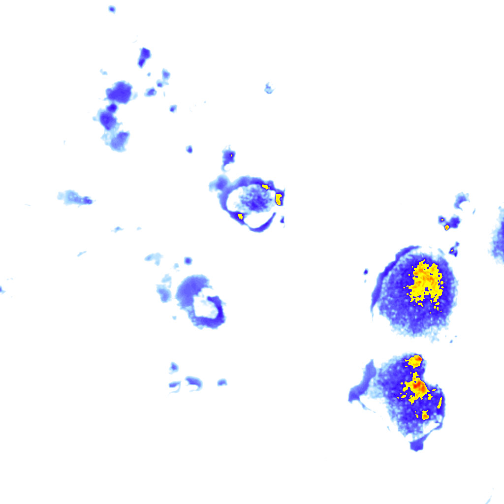 Image Layer