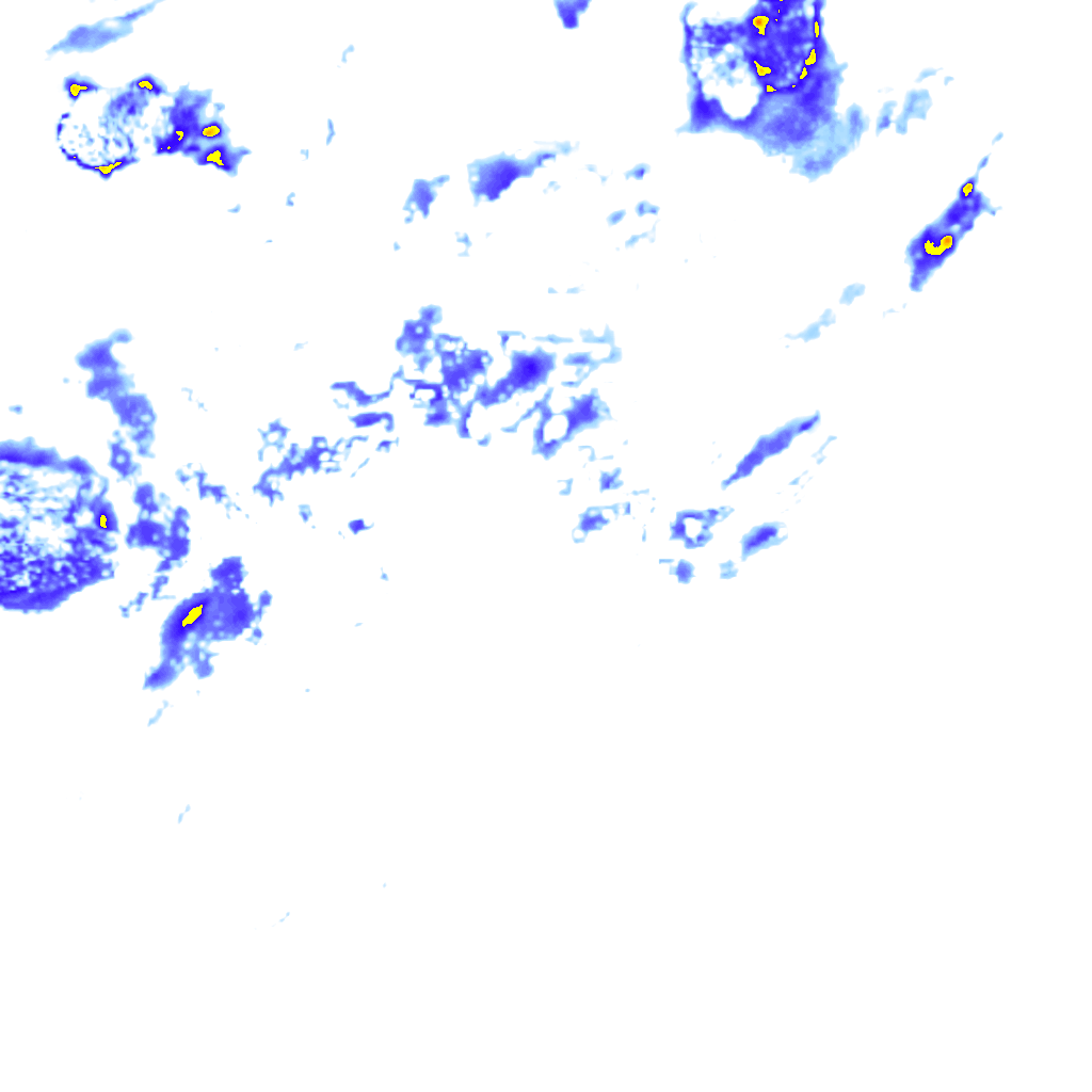 rainLayer