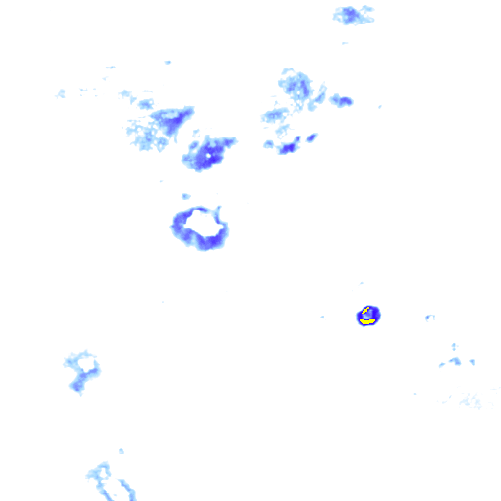 Image Layer