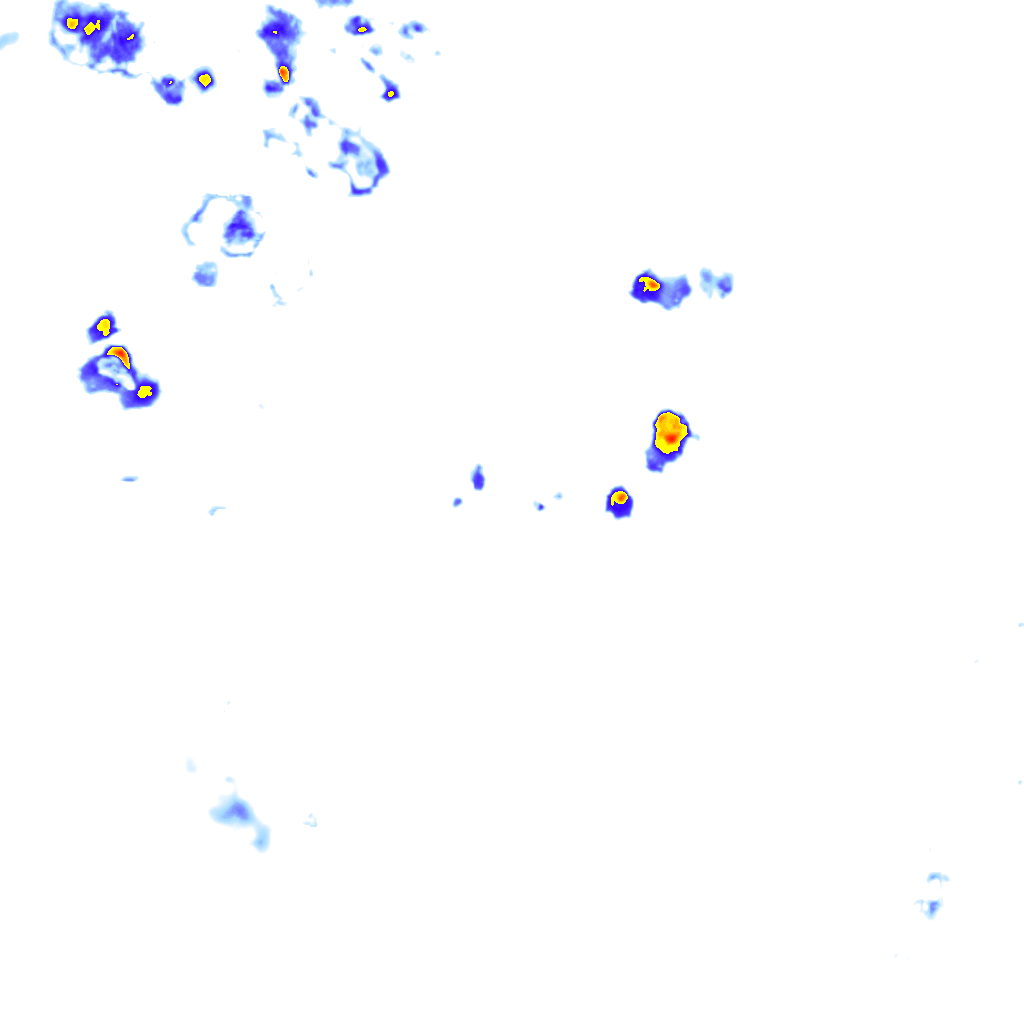 rainLayer