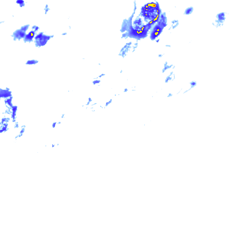 Image Layer