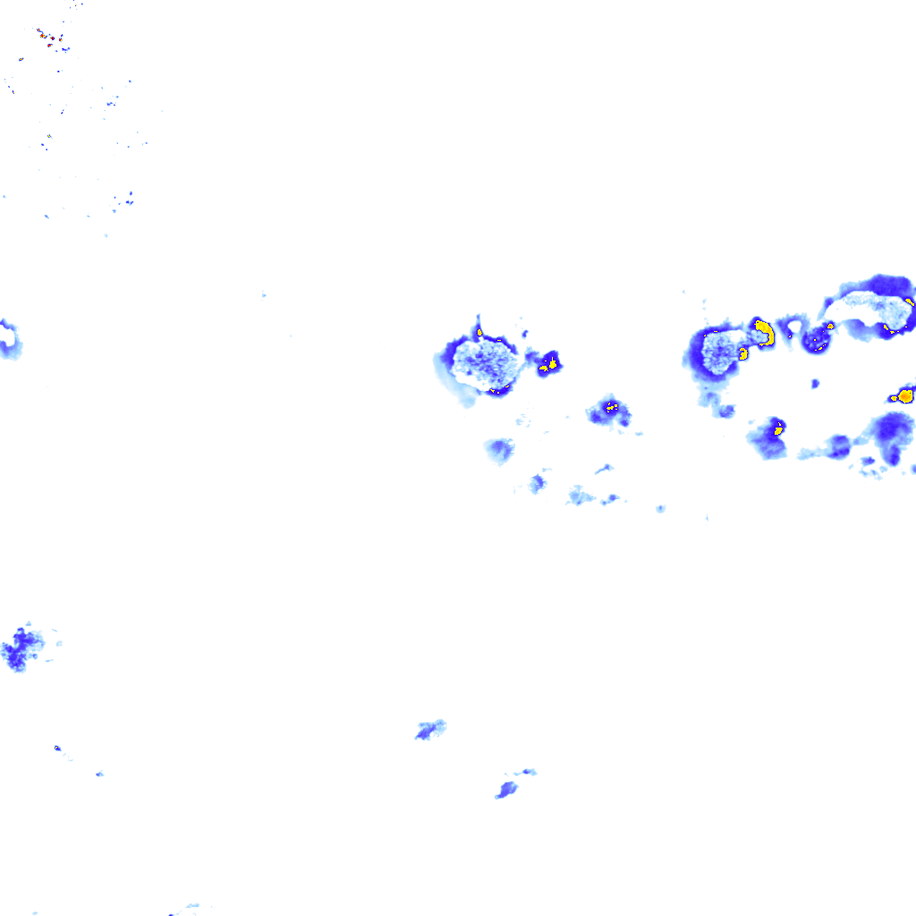 rainLayer