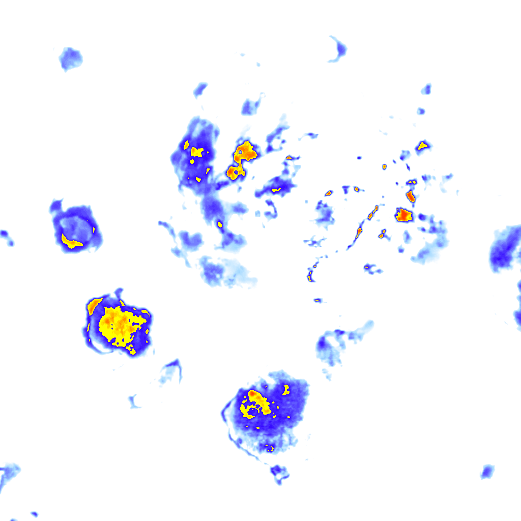 Image Layer