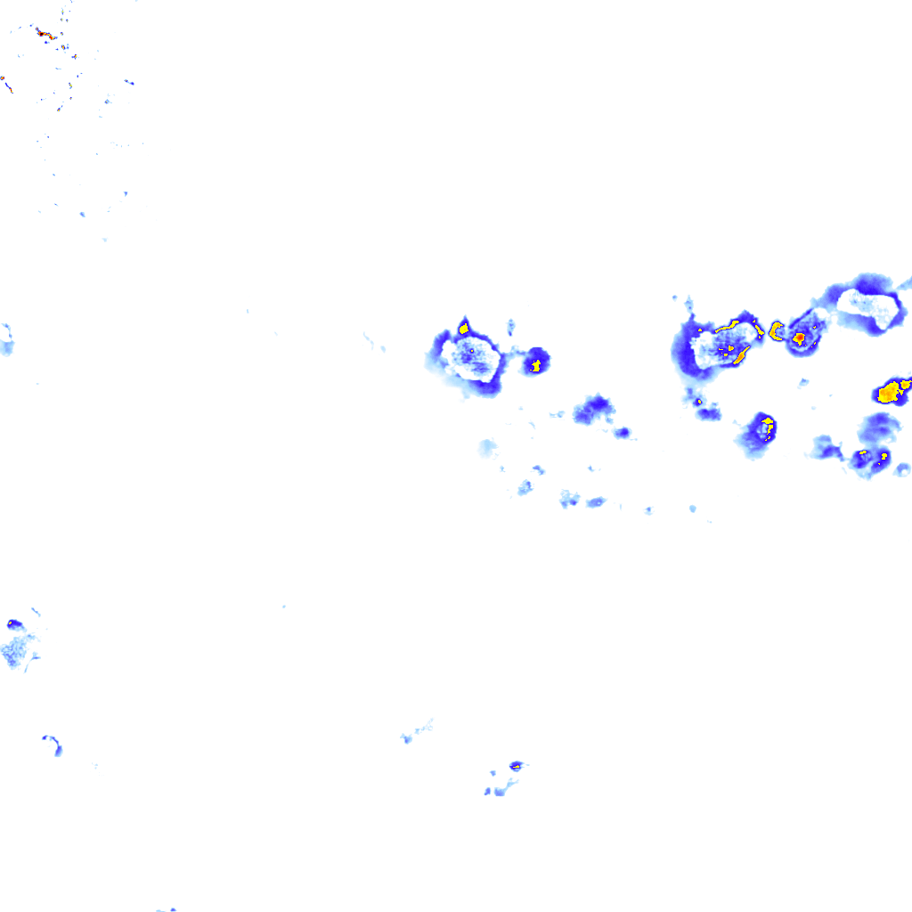 rainLayer