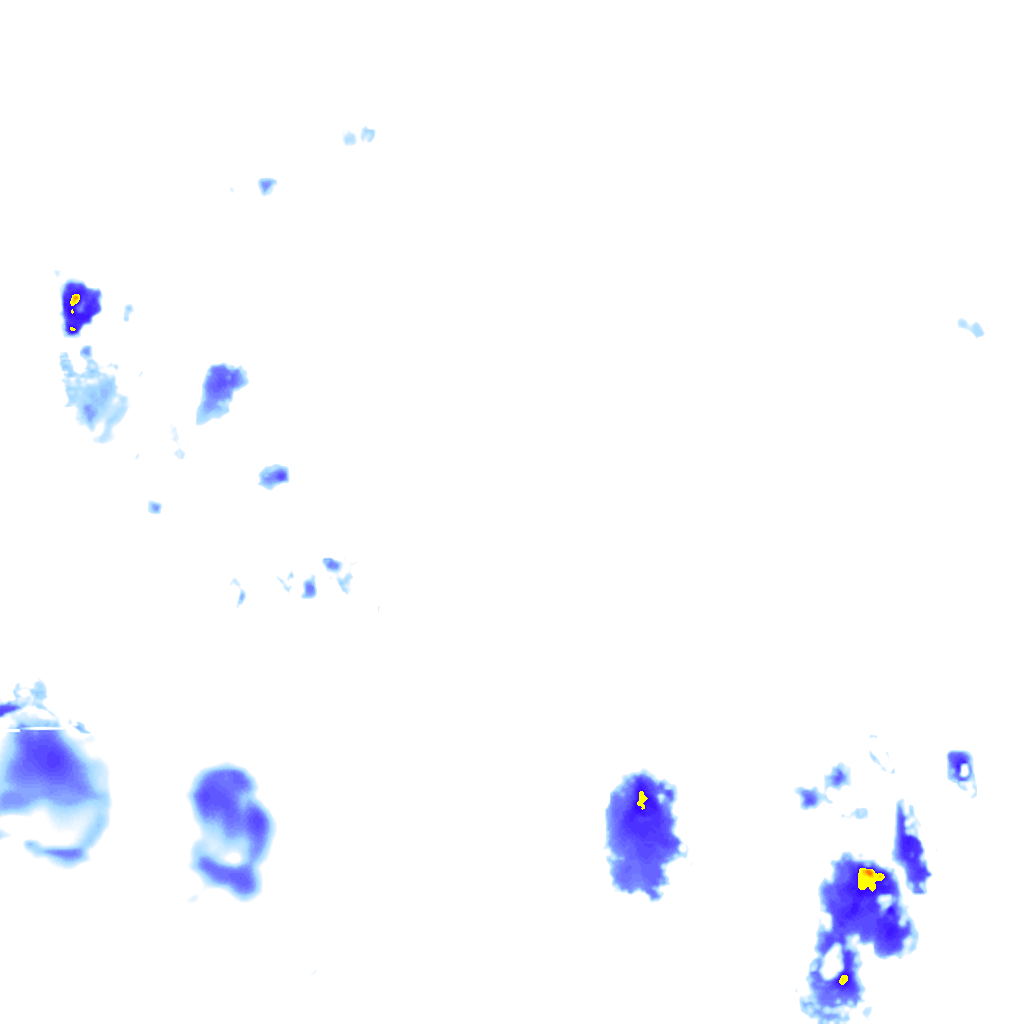 rainLayer