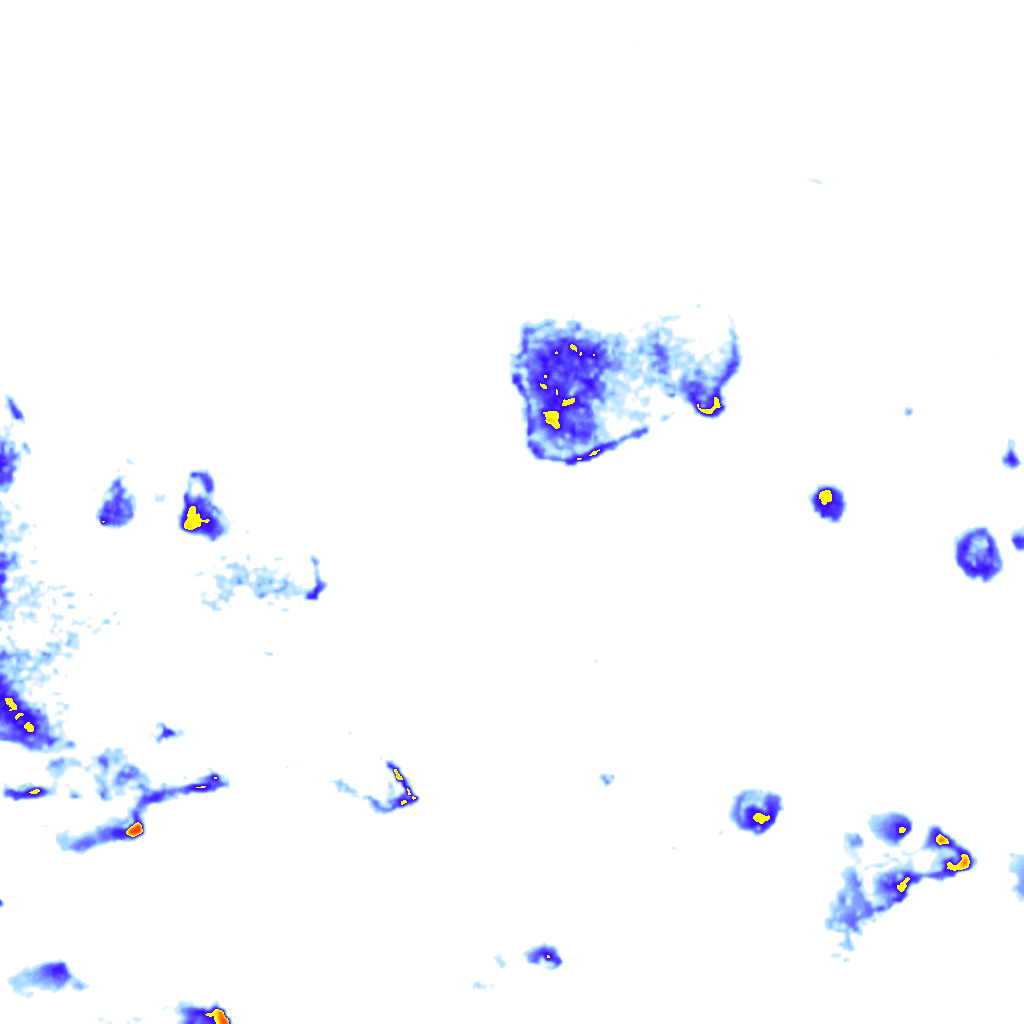 rainLayer
