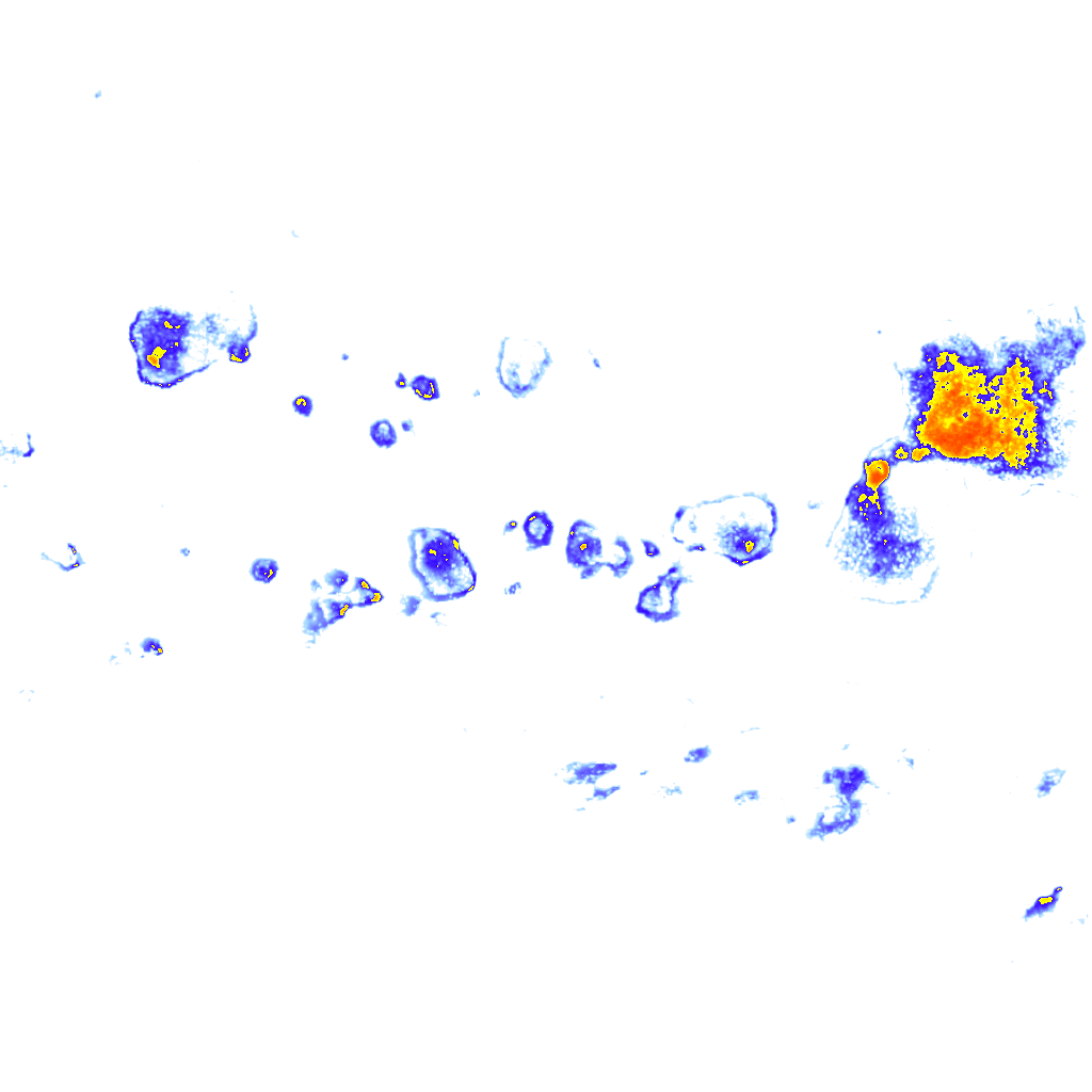 Image Layer