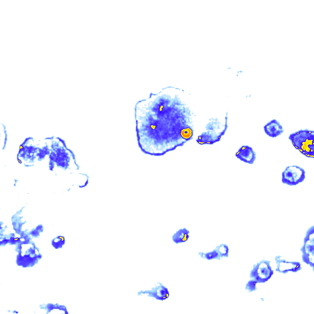 rainLayer