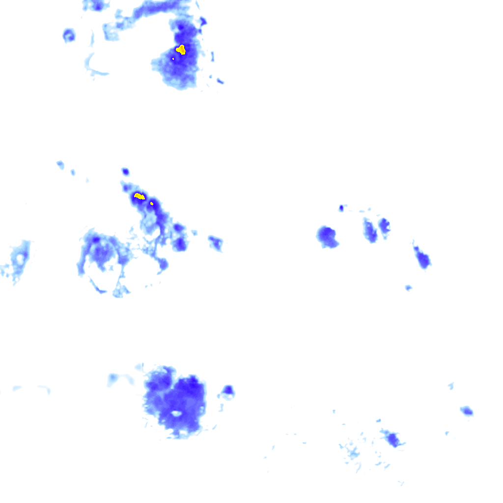 rainLayer
