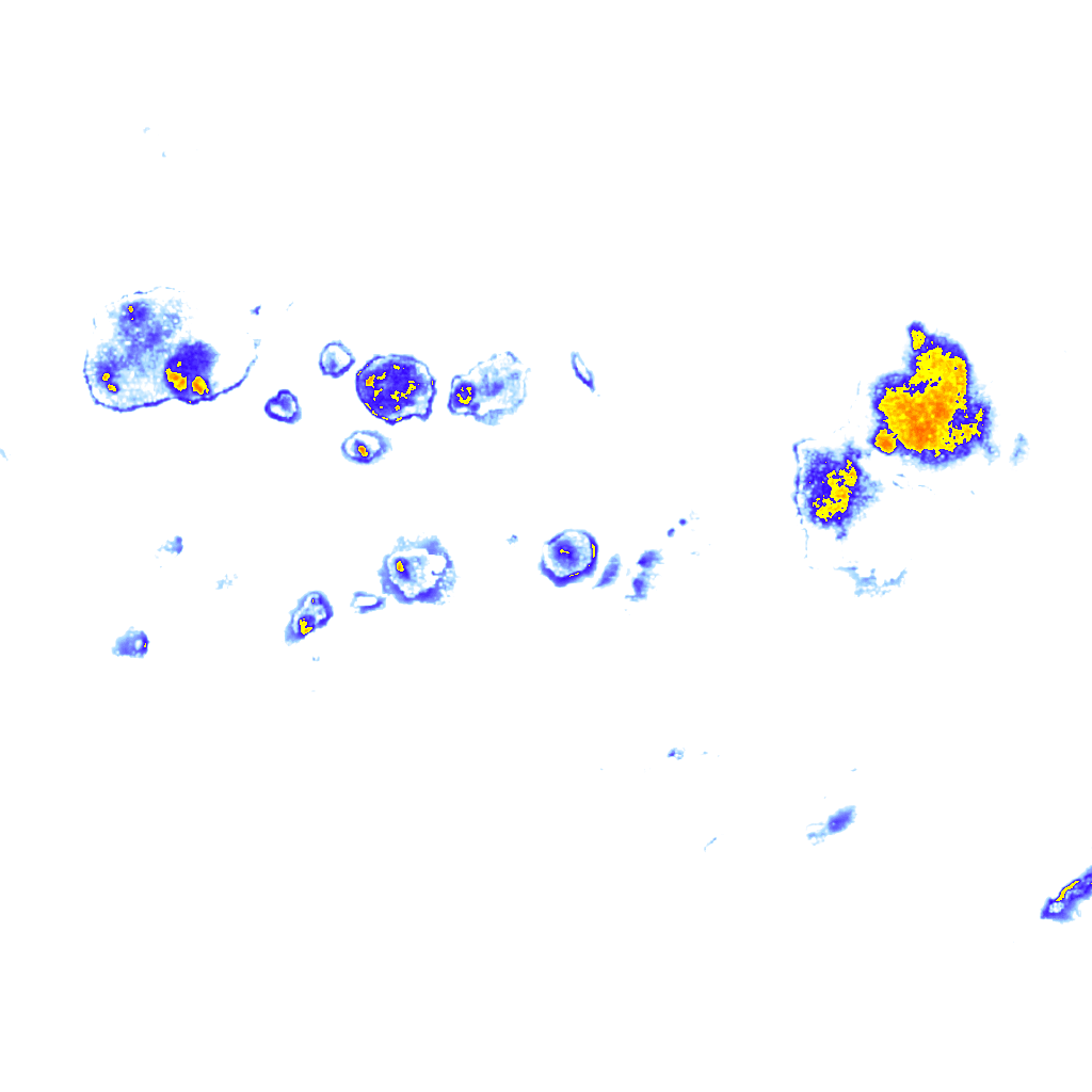 Image Layer