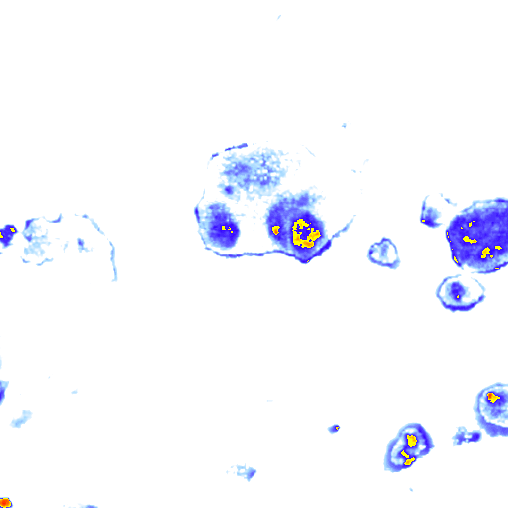 Image Layer