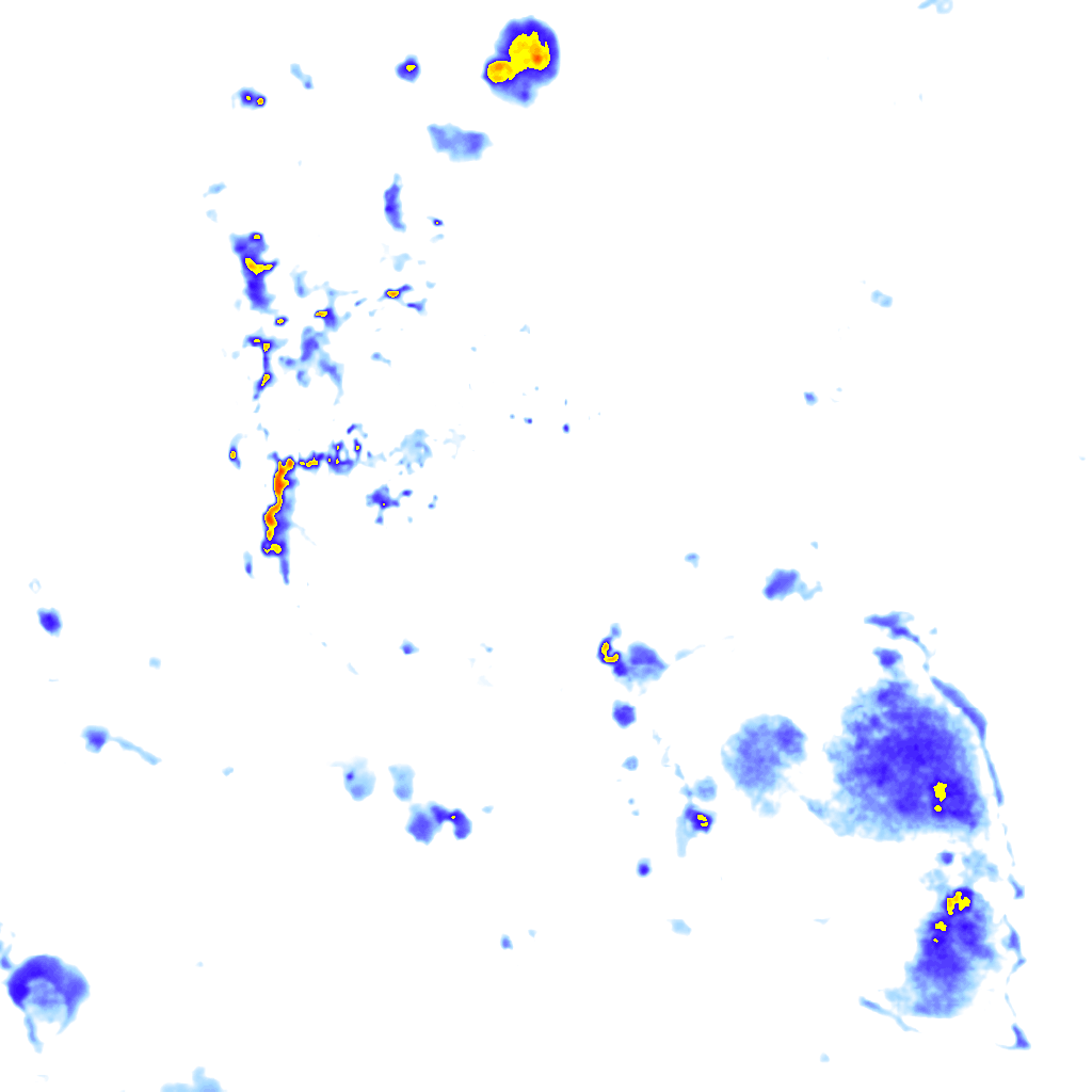 rainLayer