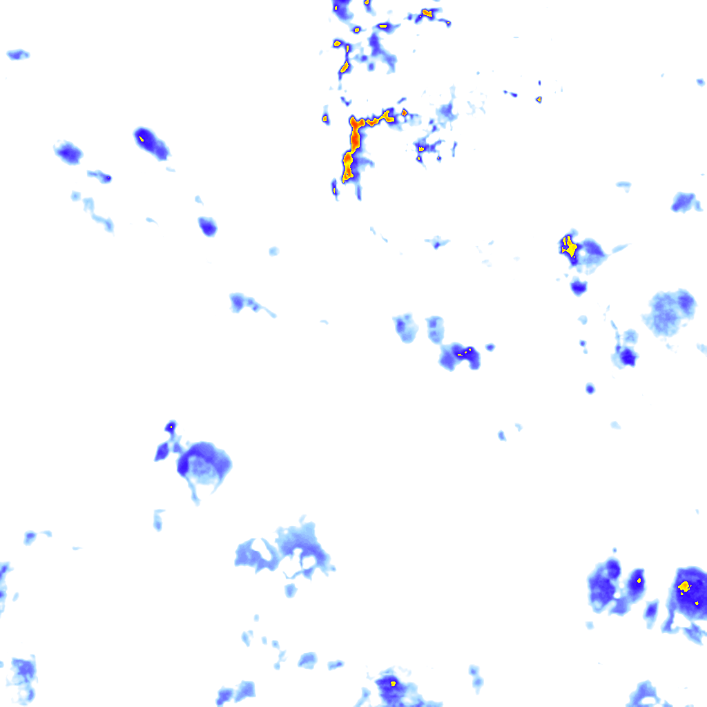Image Layer