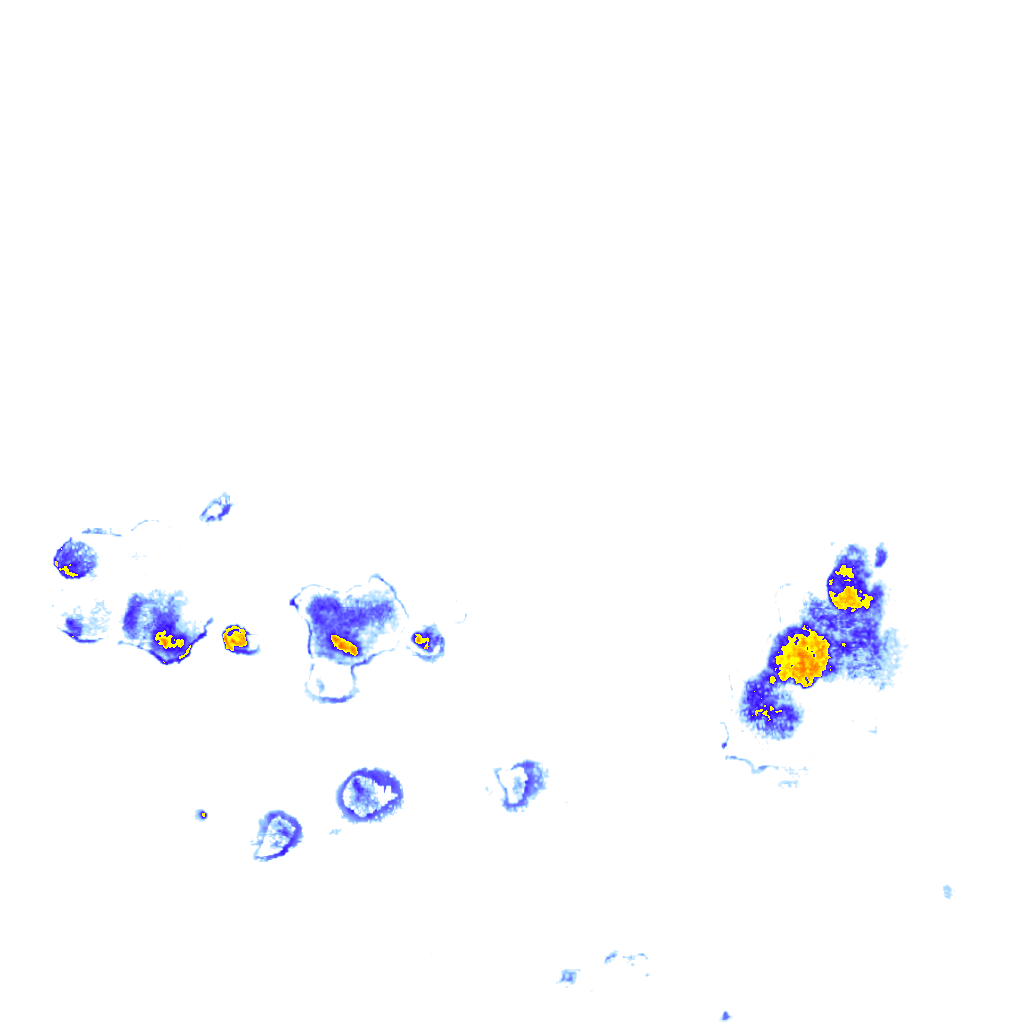 rainLayer